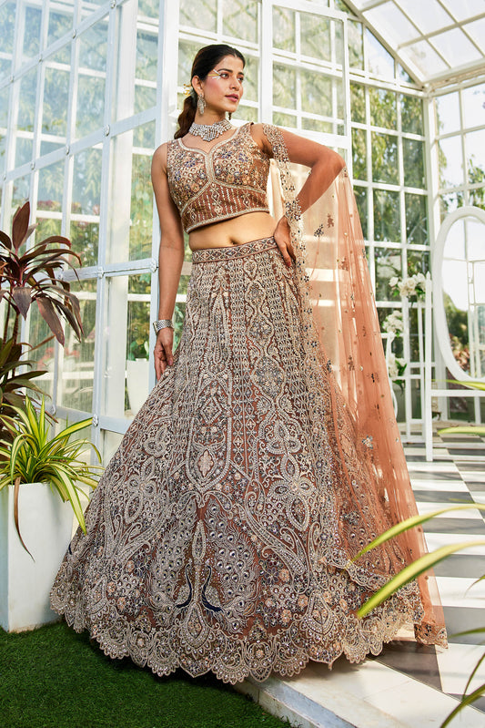 Brown net with Beads & Zarkan embroidery Lehenga choli & Dupatta