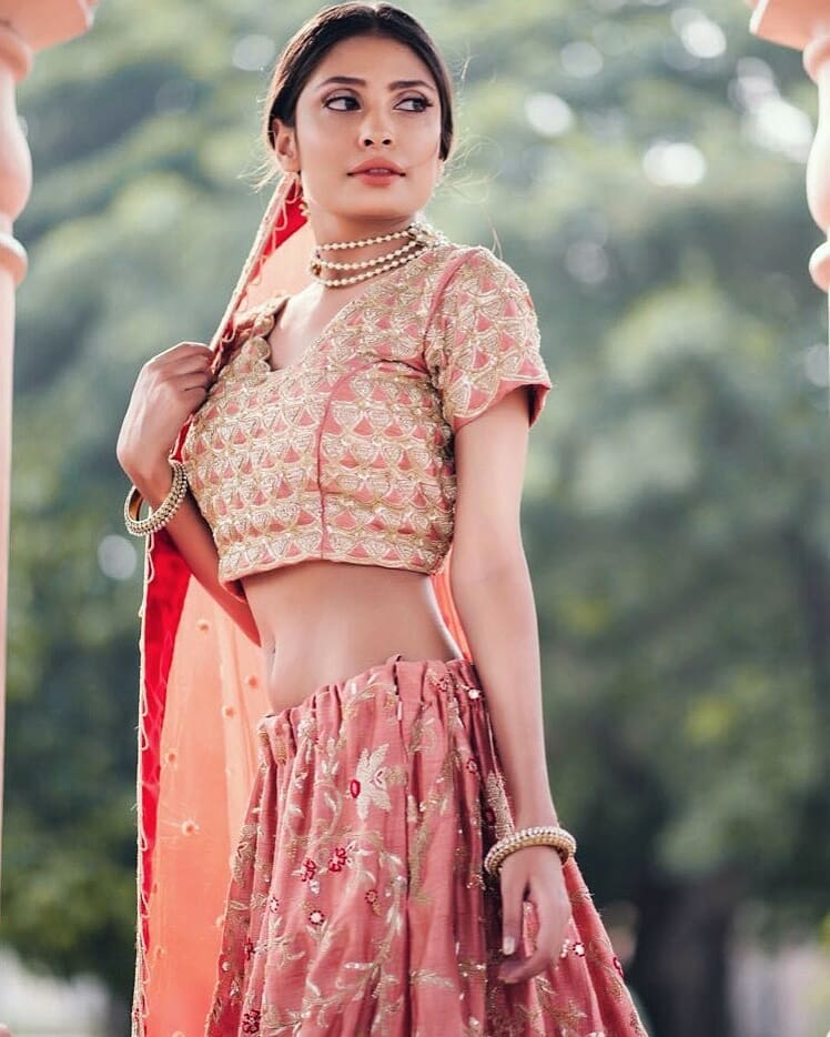 Blush Pink radha Resham lehenga set