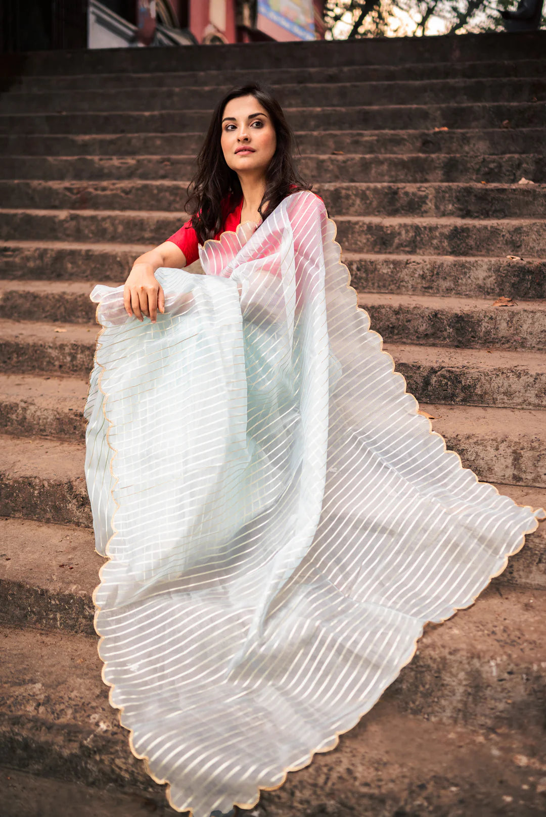 Kala White Organza Handloom saree