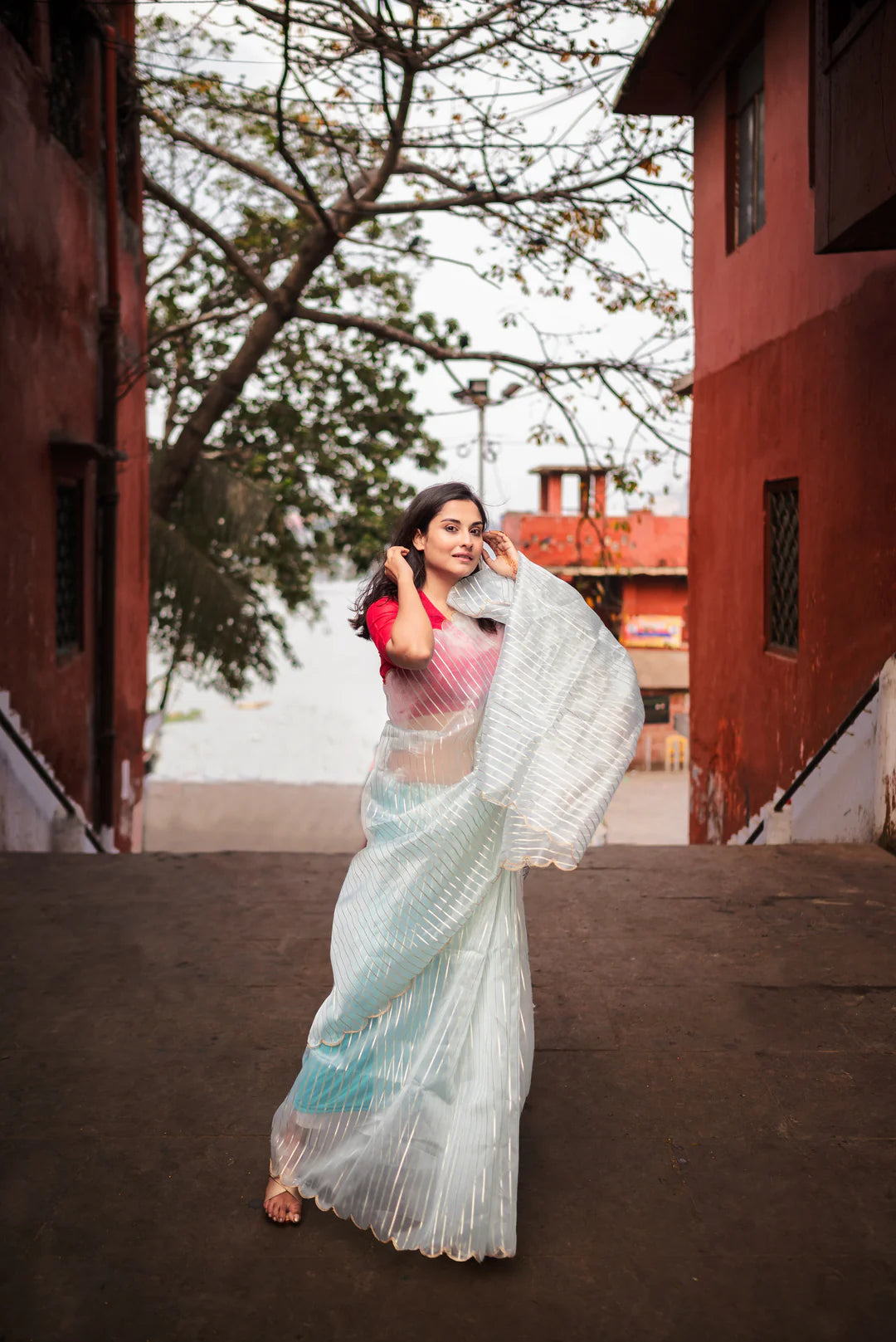 Kala White Organza Handloom saree