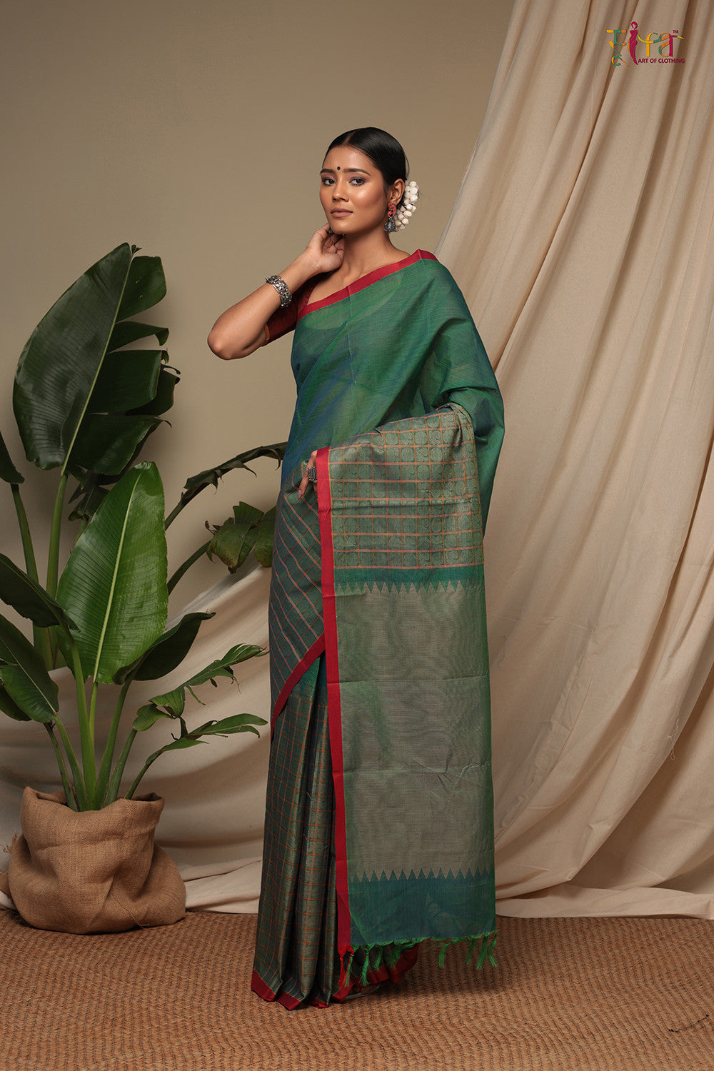 Handloom Fern Green Pure Cotton Kanchi Saree