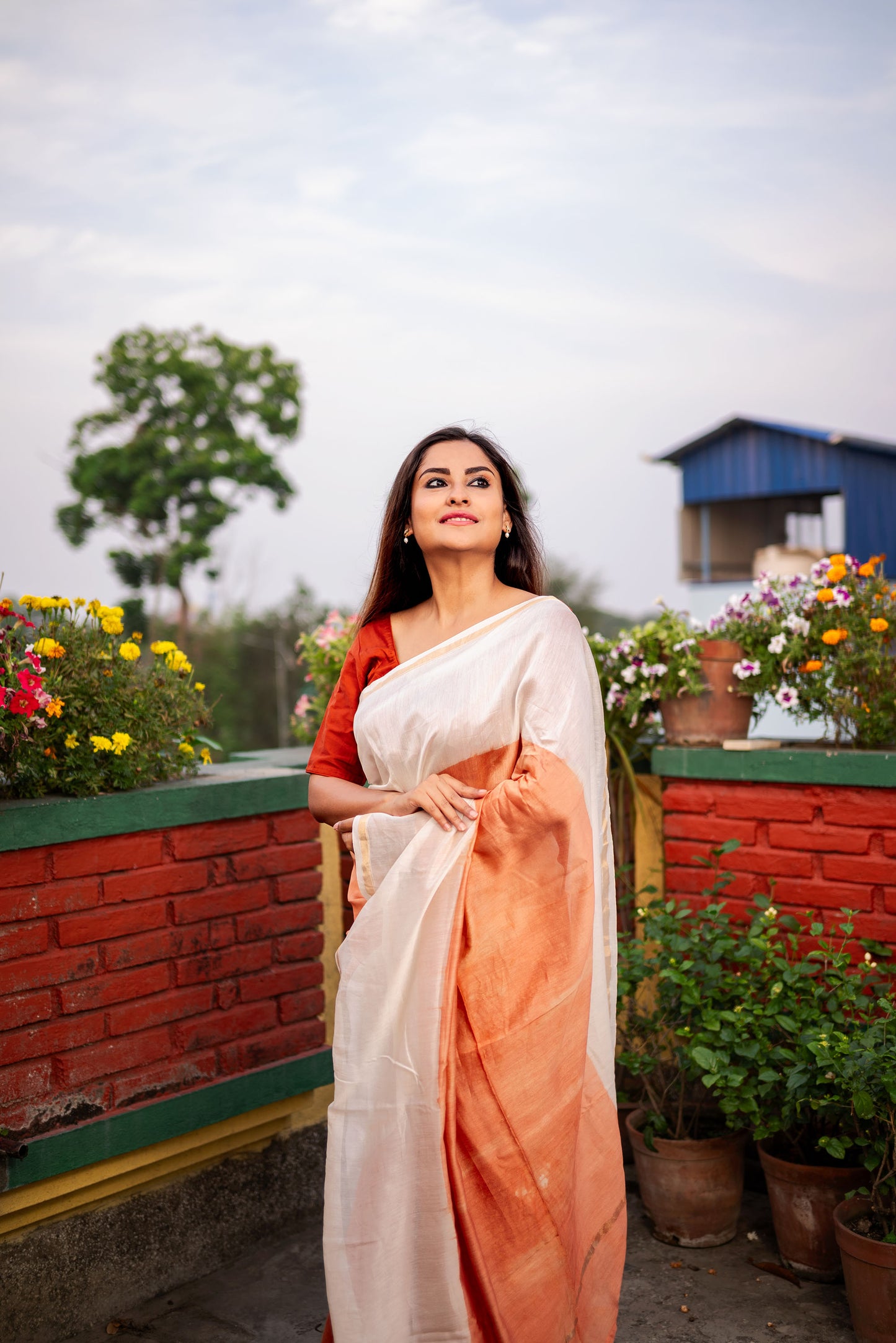 Brown and White ombre chanderi silk saree