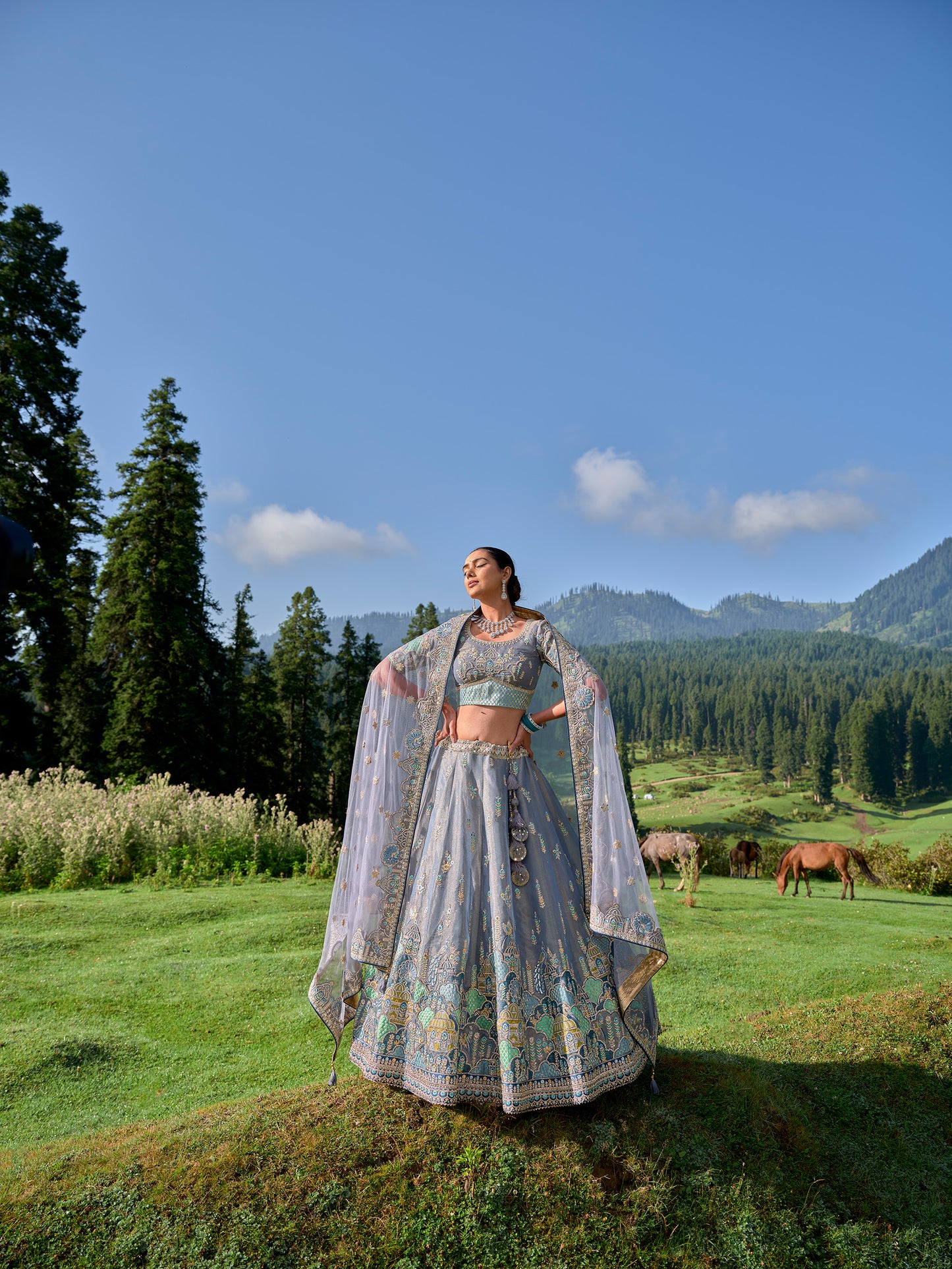 Elegant Grey Circular Lehenga Set in Tissue with Silk Blouse and Matching Dupatta