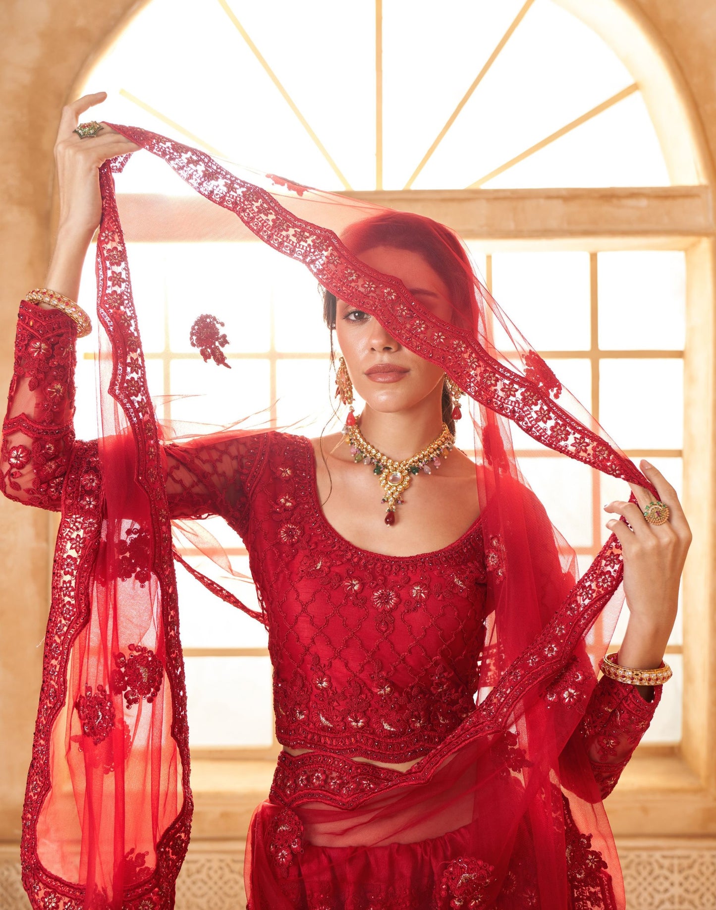 Red Heavy Thread Embroidered Net Bridal Lehenga Choli