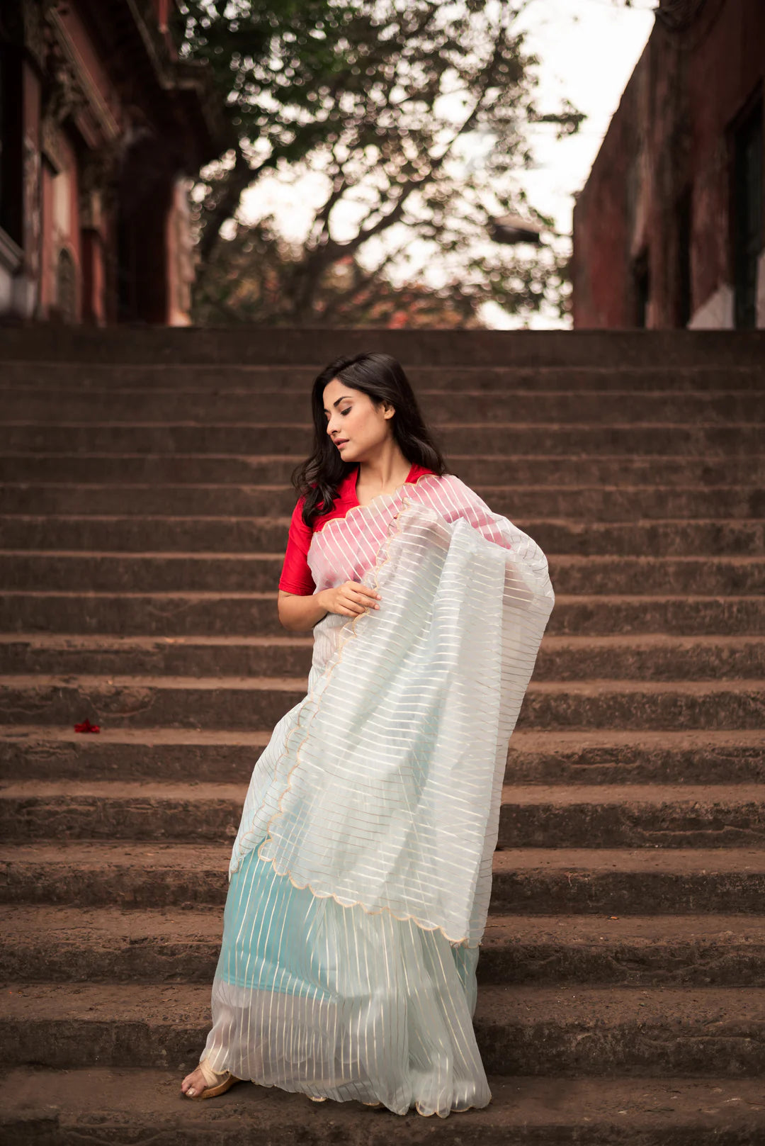 Kala White Organza Handloom saree