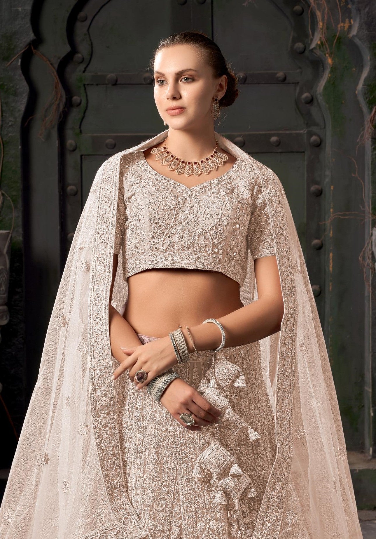 Light Brown Zarkan Embroidery Net Party Wear Lehenga