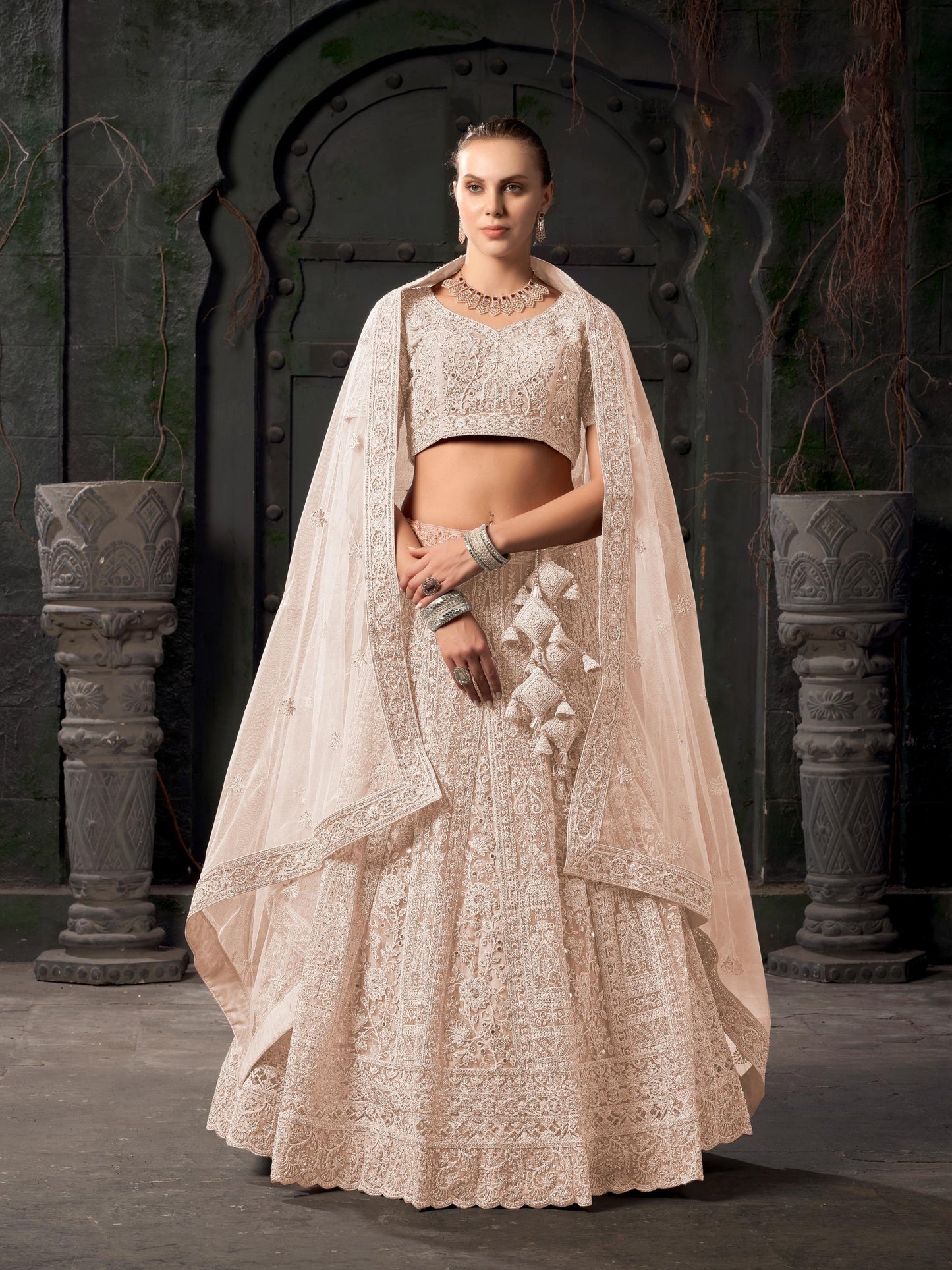 Light Brown Zarkan Embroidery Net Party Wear Lehenga