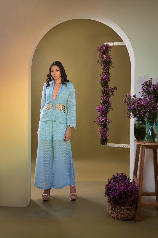 Akash Powder Blue Hand Embroidered Designer Blazer Set