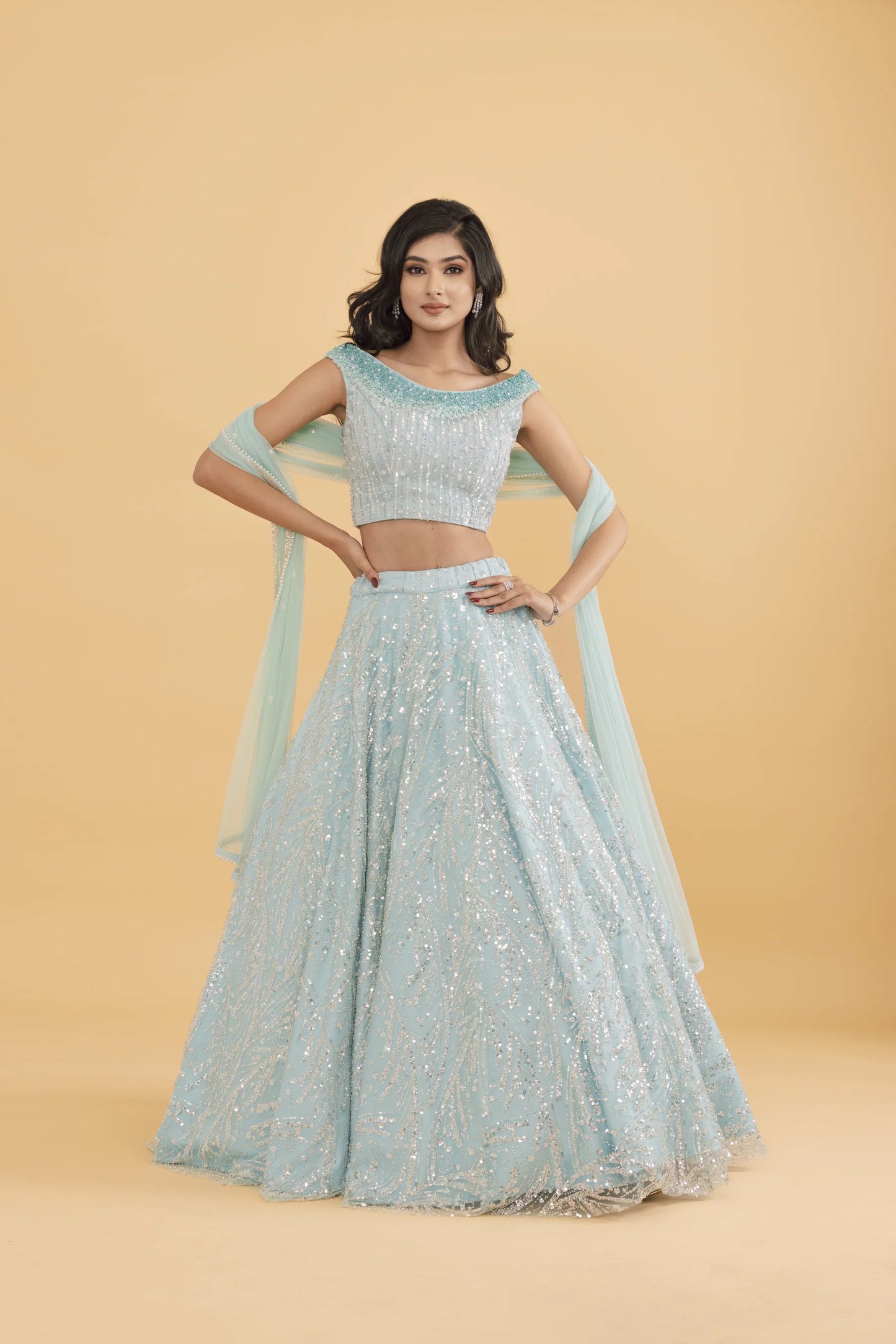 Blue net lehenga with silver embellishments