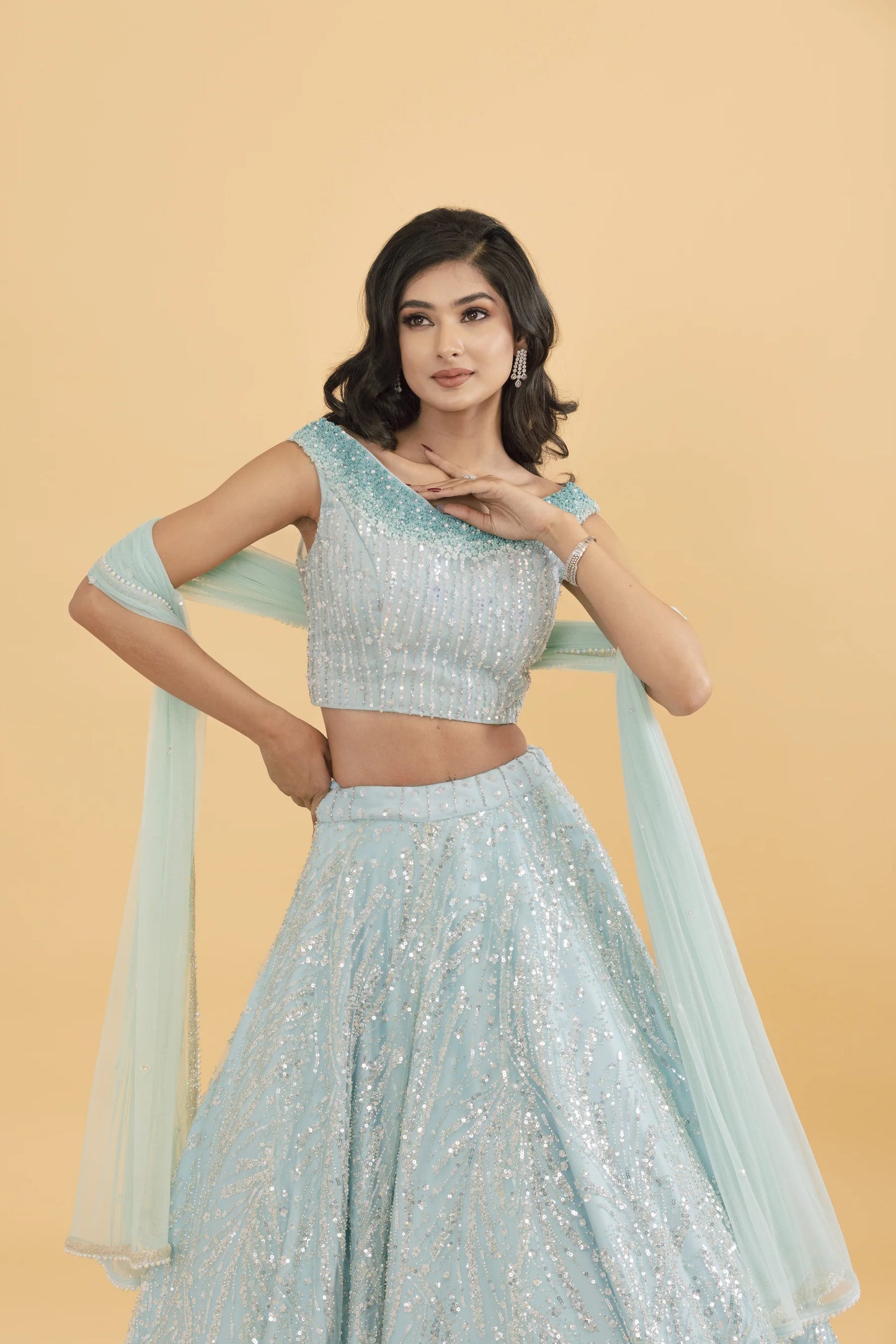 Blue net lehenga with silver embellishments