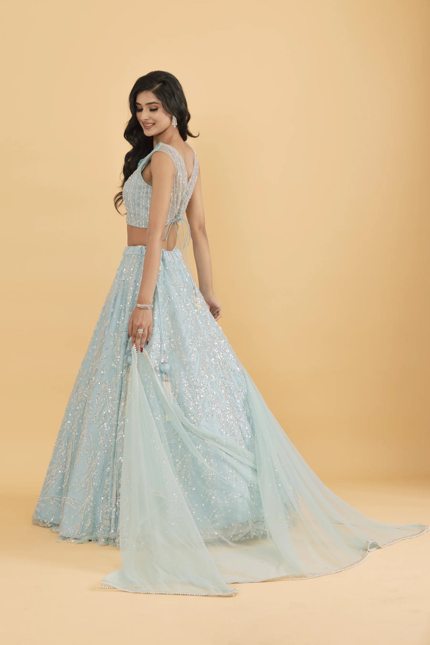 Blue net lehenga with silver embellishments