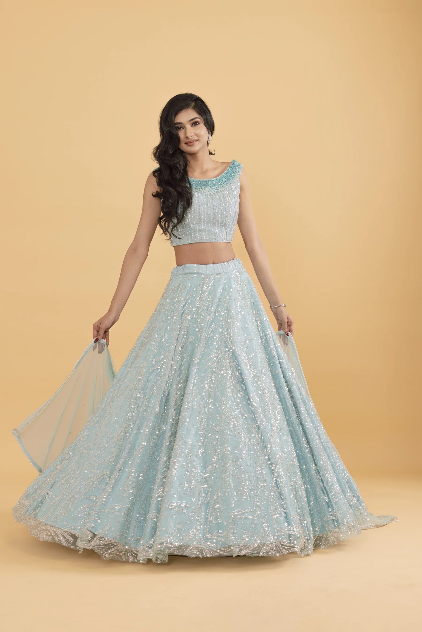 Blue net lehenga with silver embellishments