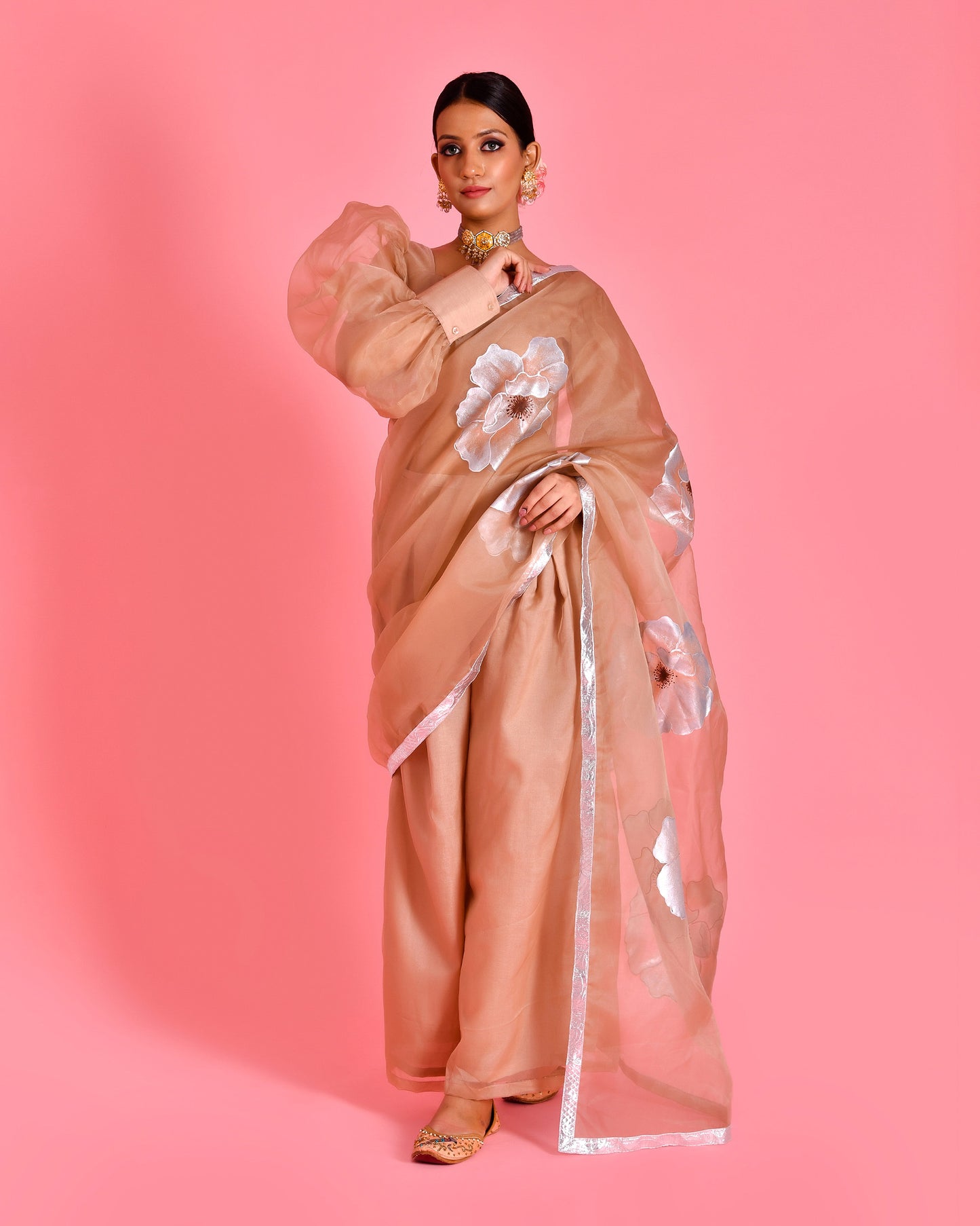 Raas Organza Beige Hand Painted Fusion Saree