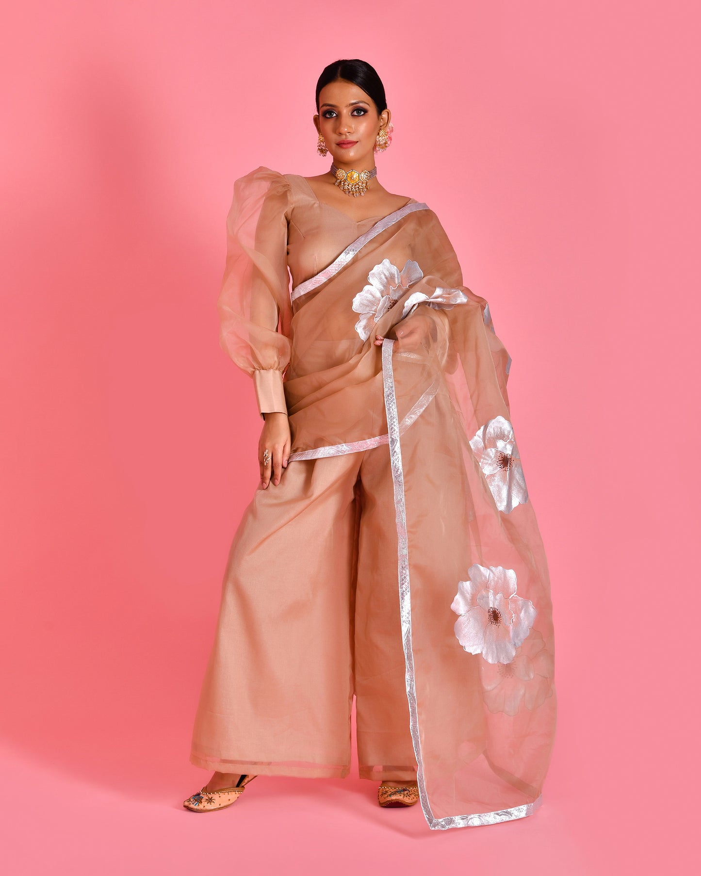 Raas Organza Beige Hand Painted Fusion Saree