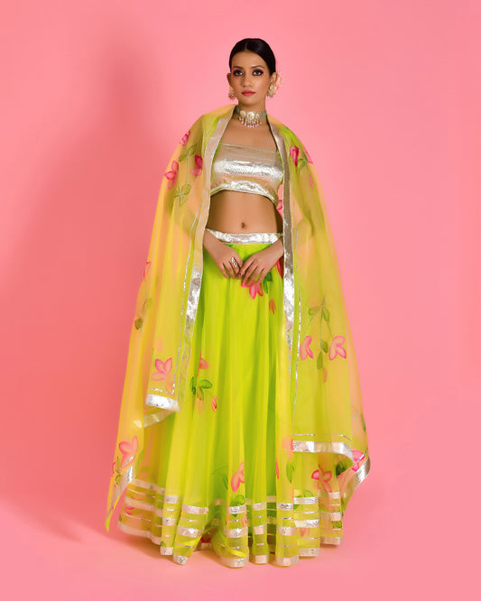 Leela Hand Painted Organza Green Lehenga  Set