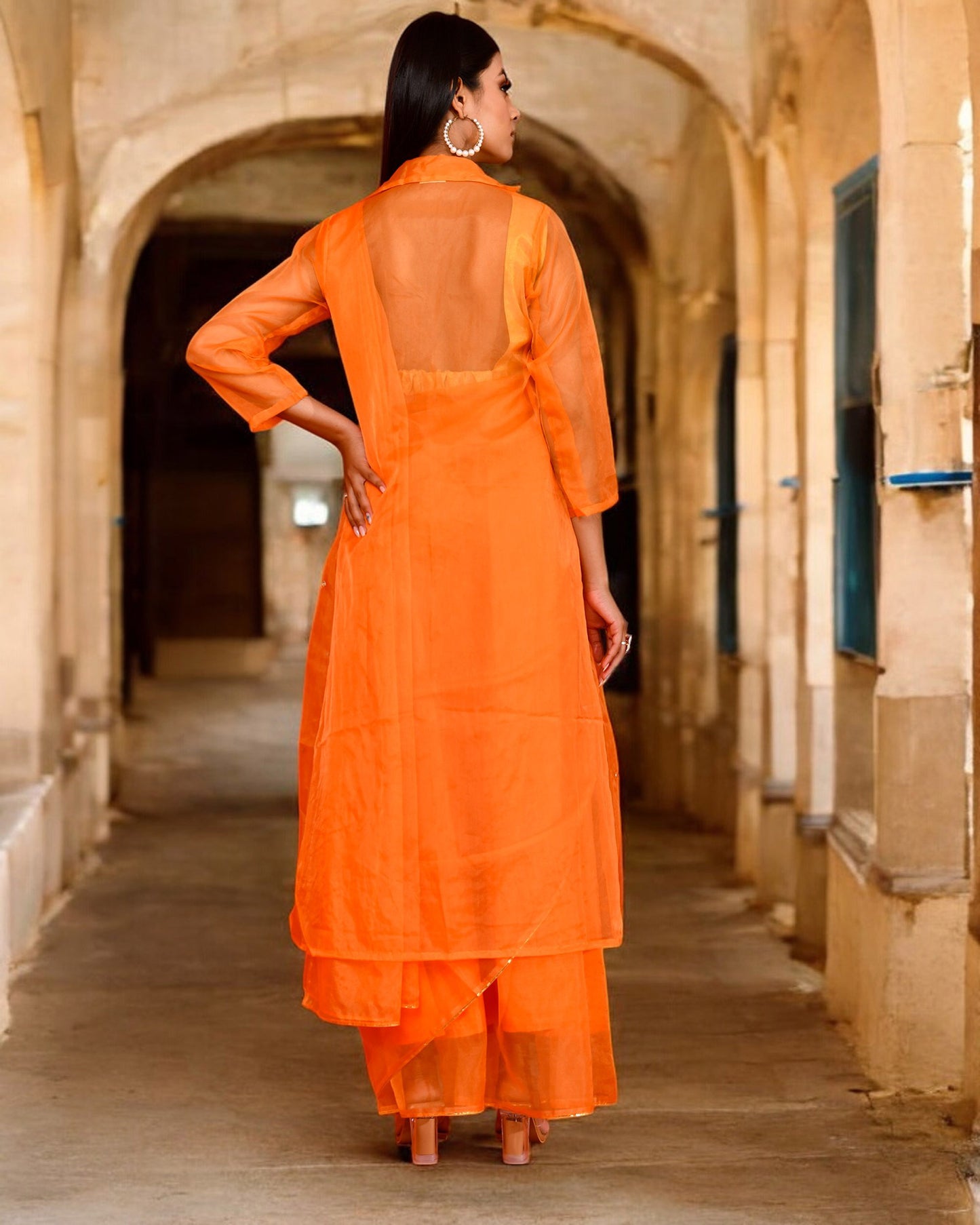 Pastel Orange Organza Embroidered Saree