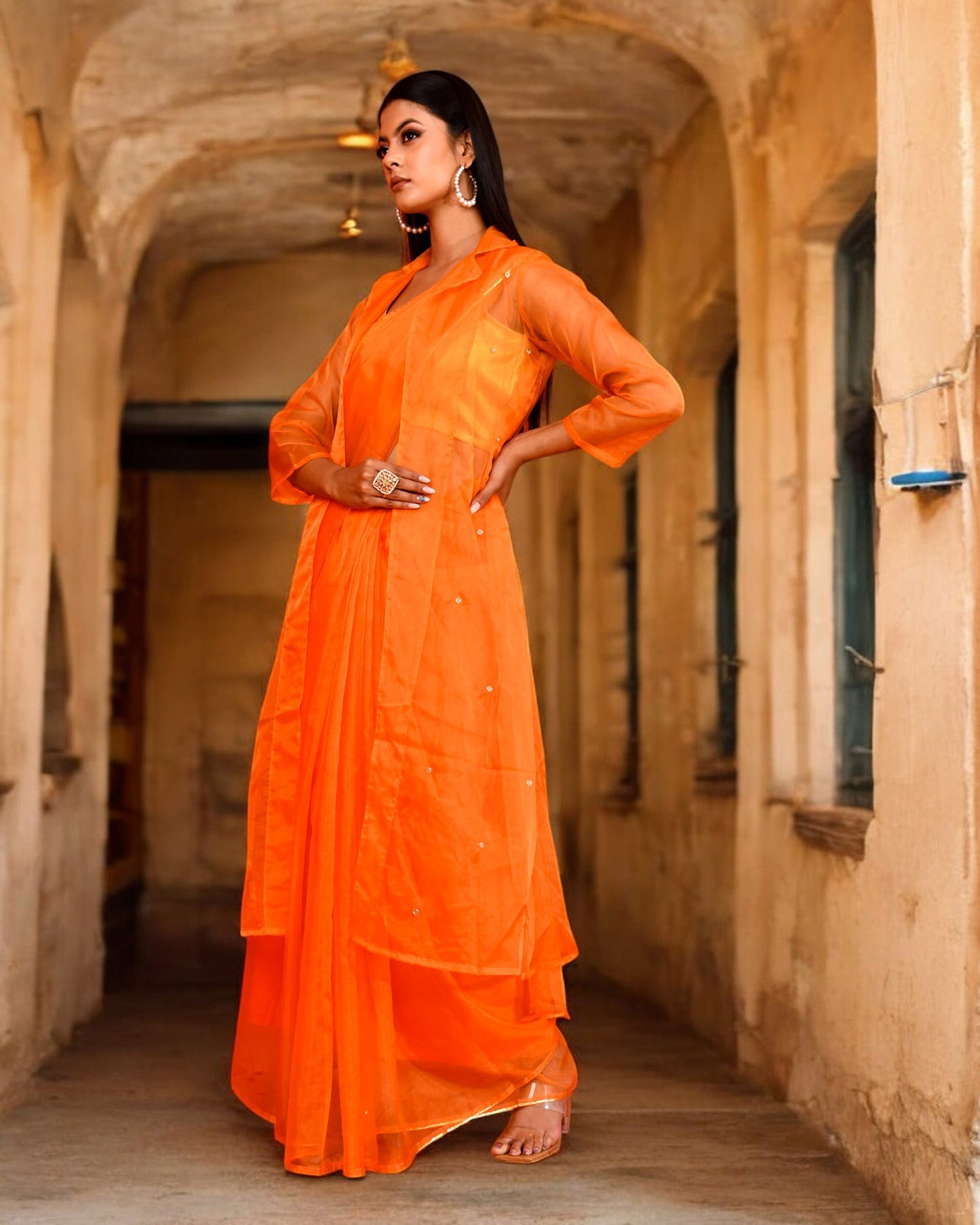 Pastel Orange Organza Embroidered Saree