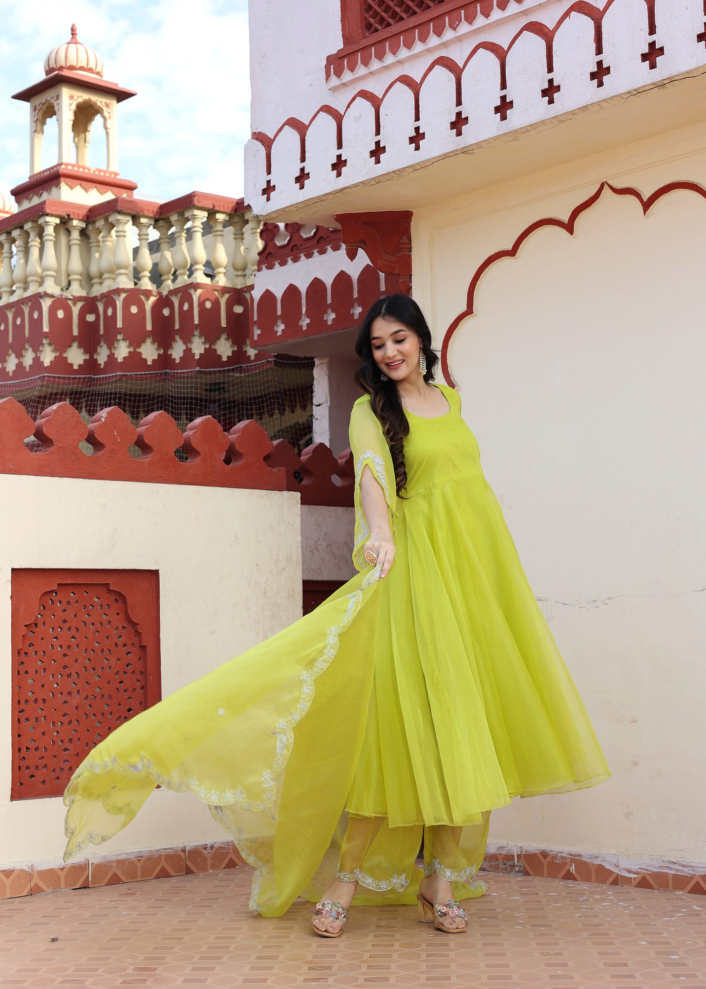 Green Organza Aari Embroidered Anarkali Set