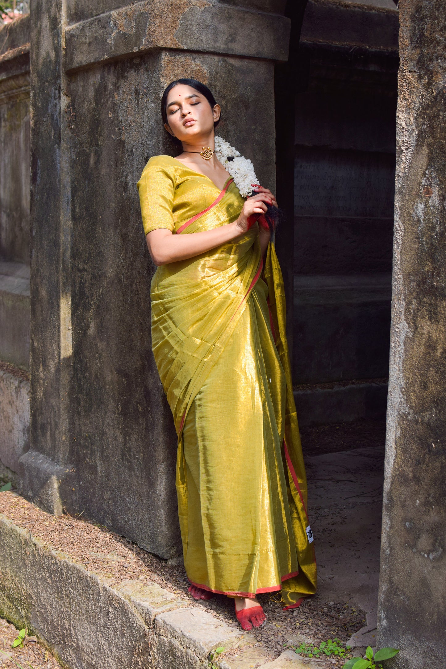 Chandrakala I Olive green dual tone tissue saree