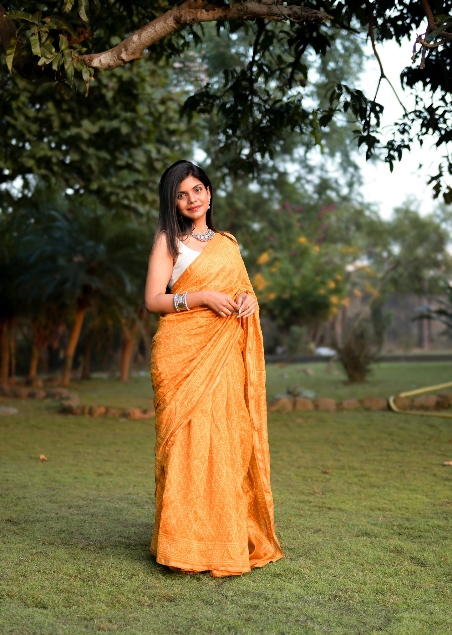 Haldi - Yellow Bagru Natural Dyes Handblock Printed - Chanderi Silk Saree