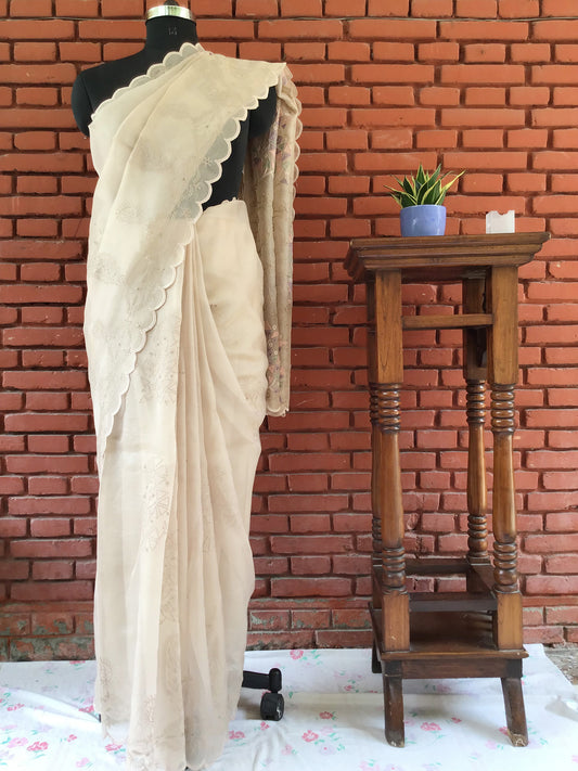 Light Baish Pure Silk organza Tepchi Pure Chikankari Saree