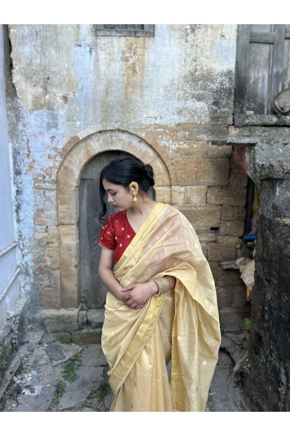 Handloom Gold  Chanderi Silk Saree