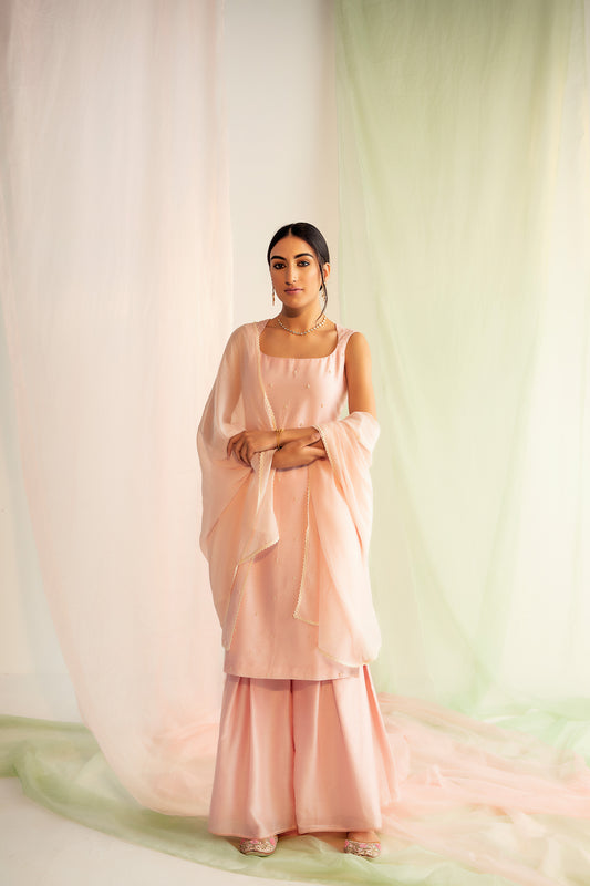 Blush Pink Chanderi Silk Elysian Sharara Set