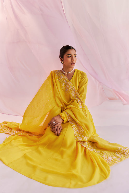 Alaia Georgette hand Embroidered Yellow Anarkali Set