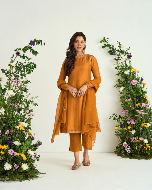 Mustard Upada Silk Zari Embroidered Shaadmani Kurta Set