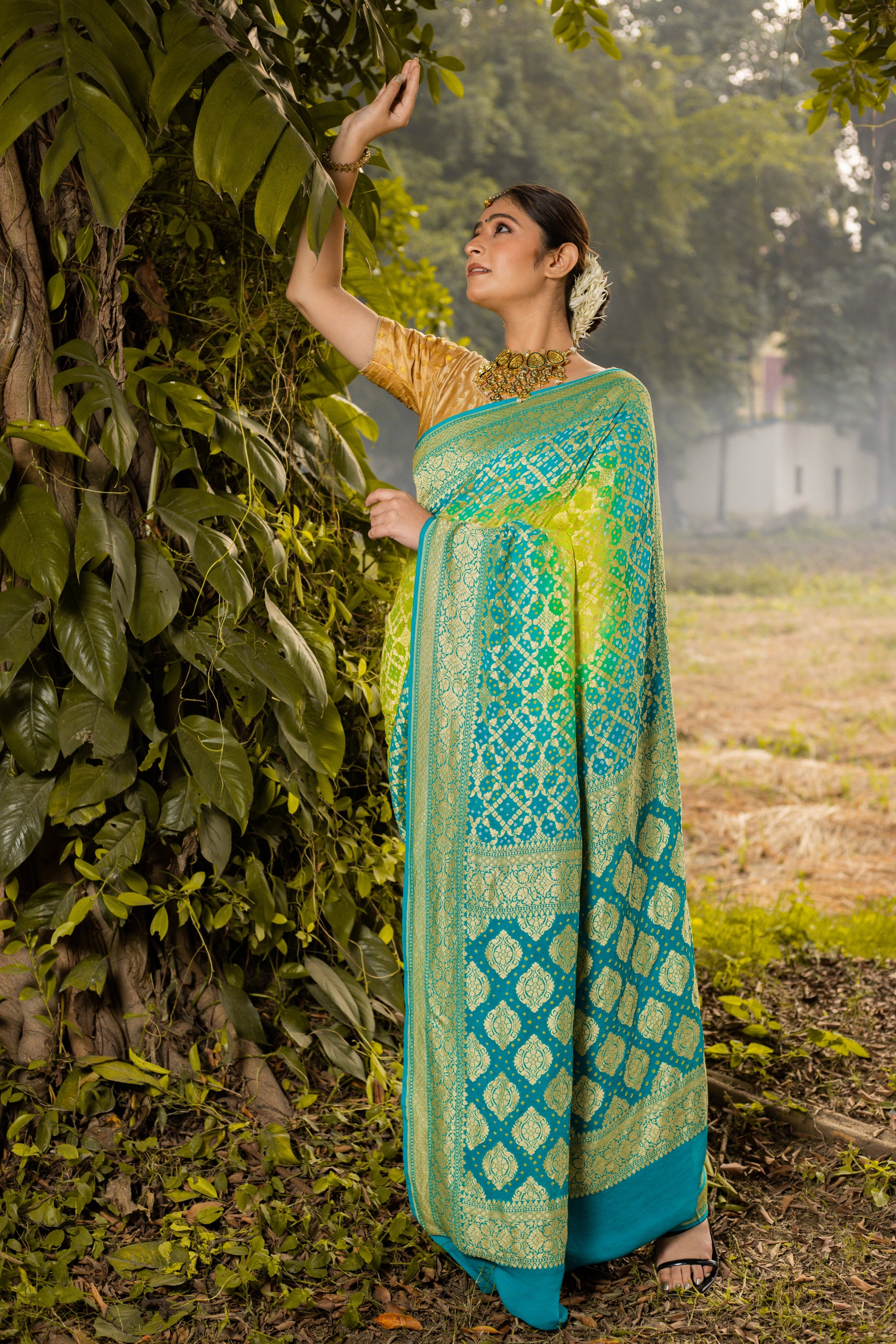 Lime Green Saree Georgette Silk Bandhani - Panaya