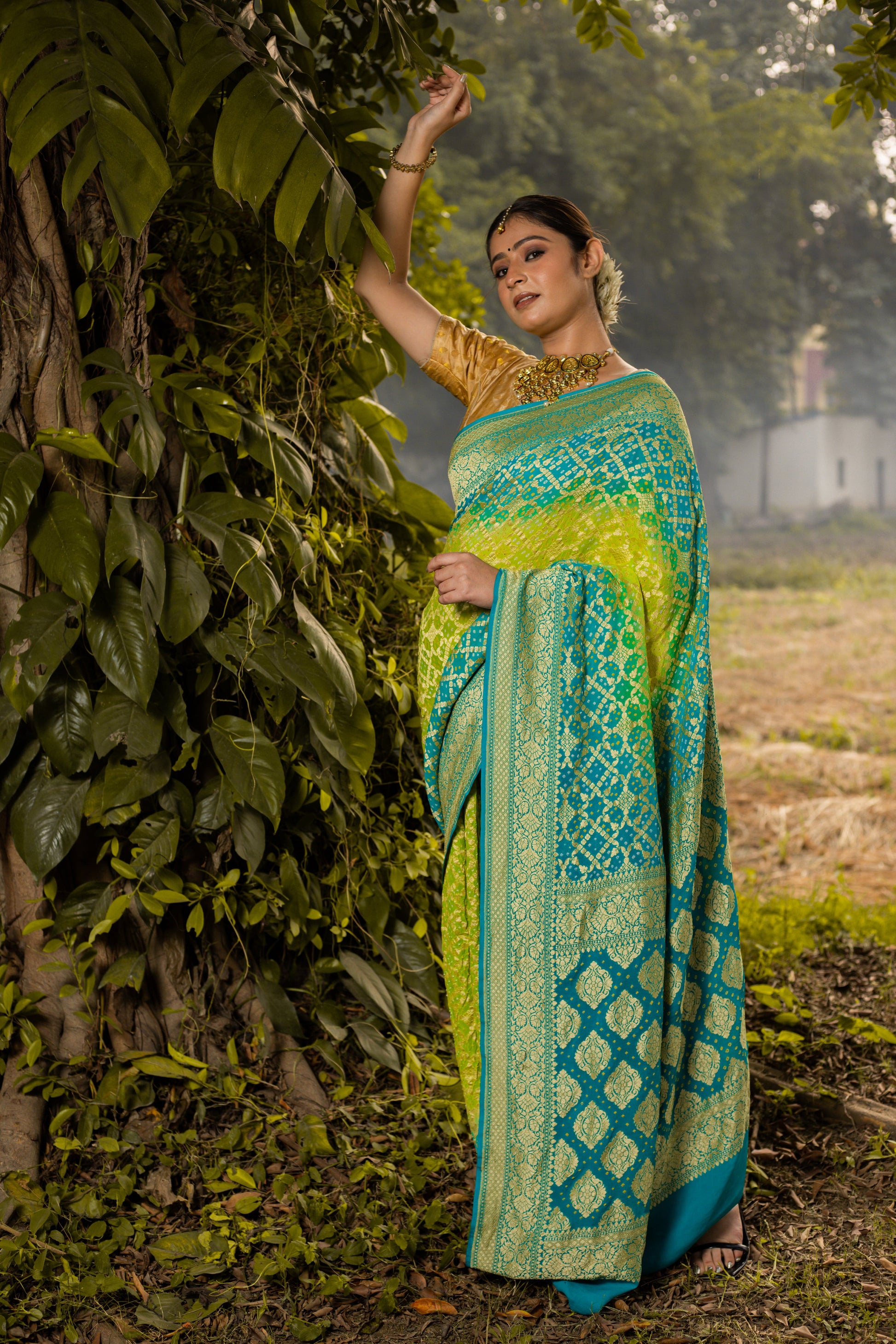 Lime Green Saree Georgette Silk Bandhani - Panaya