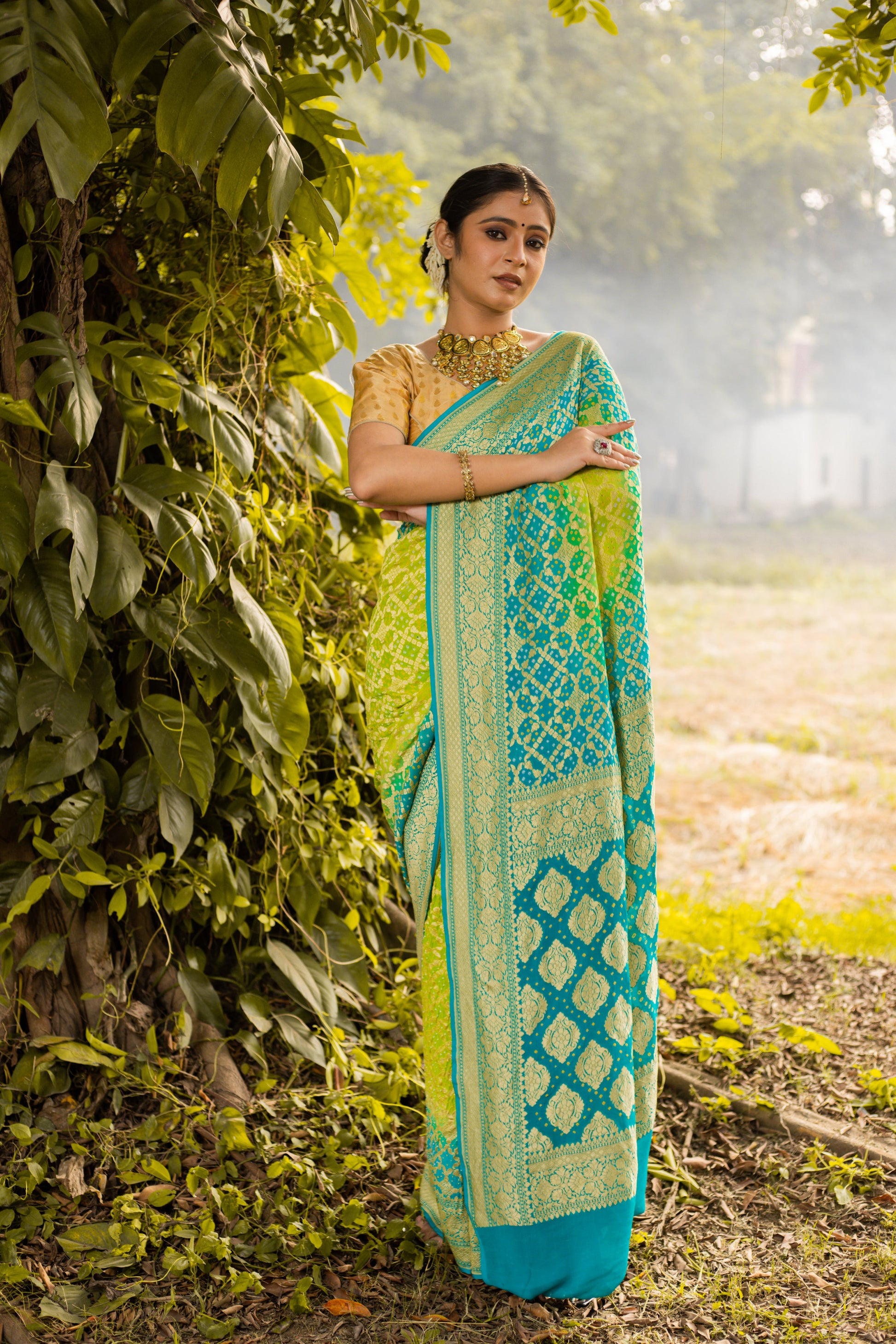 Lime Green Saree Georgette Silk Bandhani - Panaya