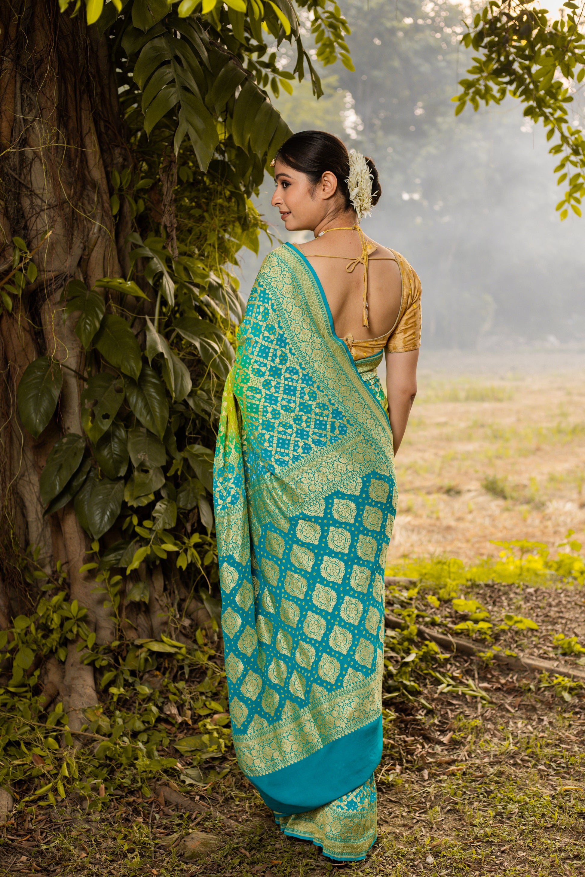 Lime Green Saree Georgette Silk Bandhani - Panaya