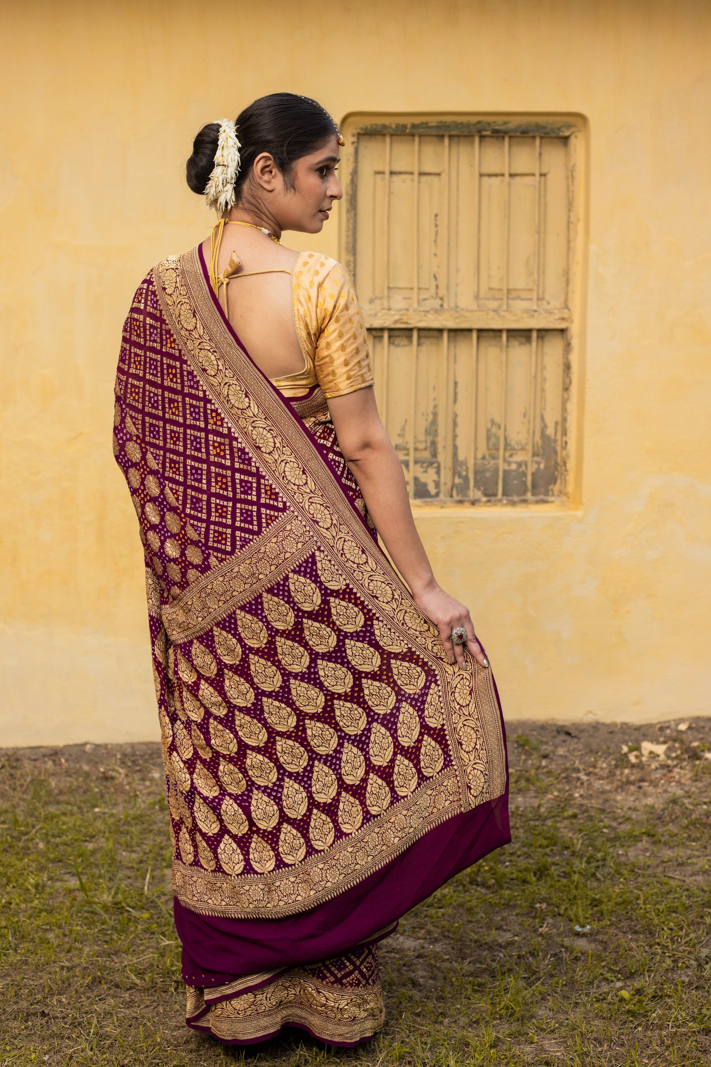 Brown Saree Georgette Silk Bandhani - Panaya