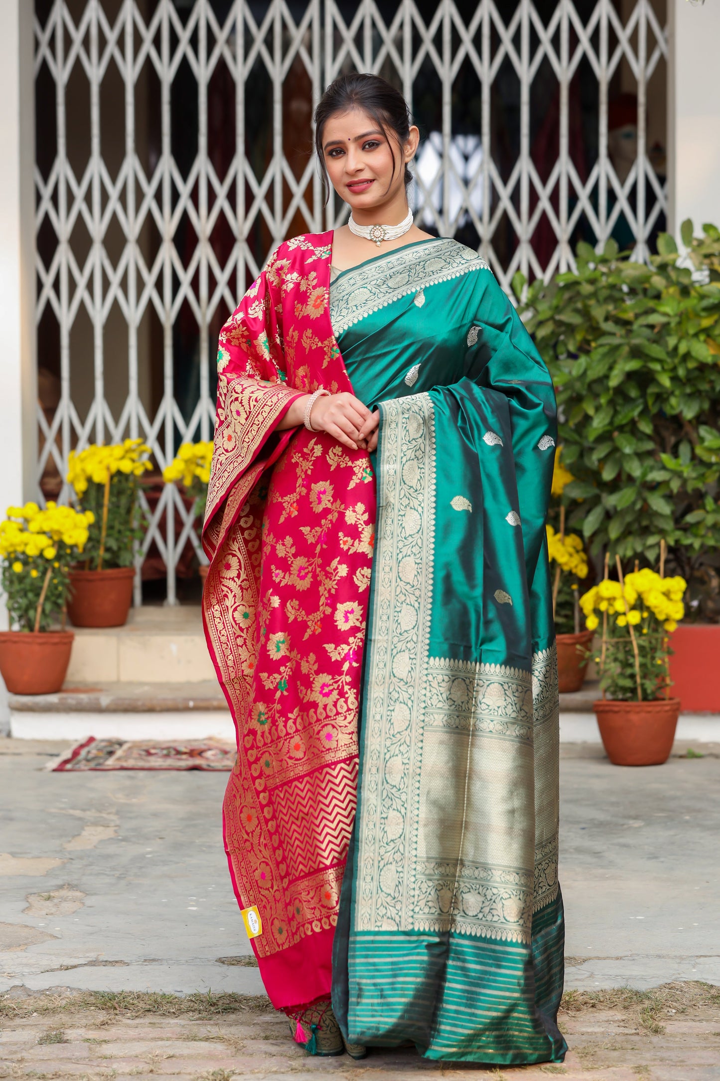 Green Katan Pure Silk Kadwa Saree - Panaya