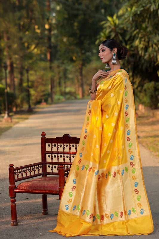 Mustard Katan Pure Silk Kadwa Saree - Panaya