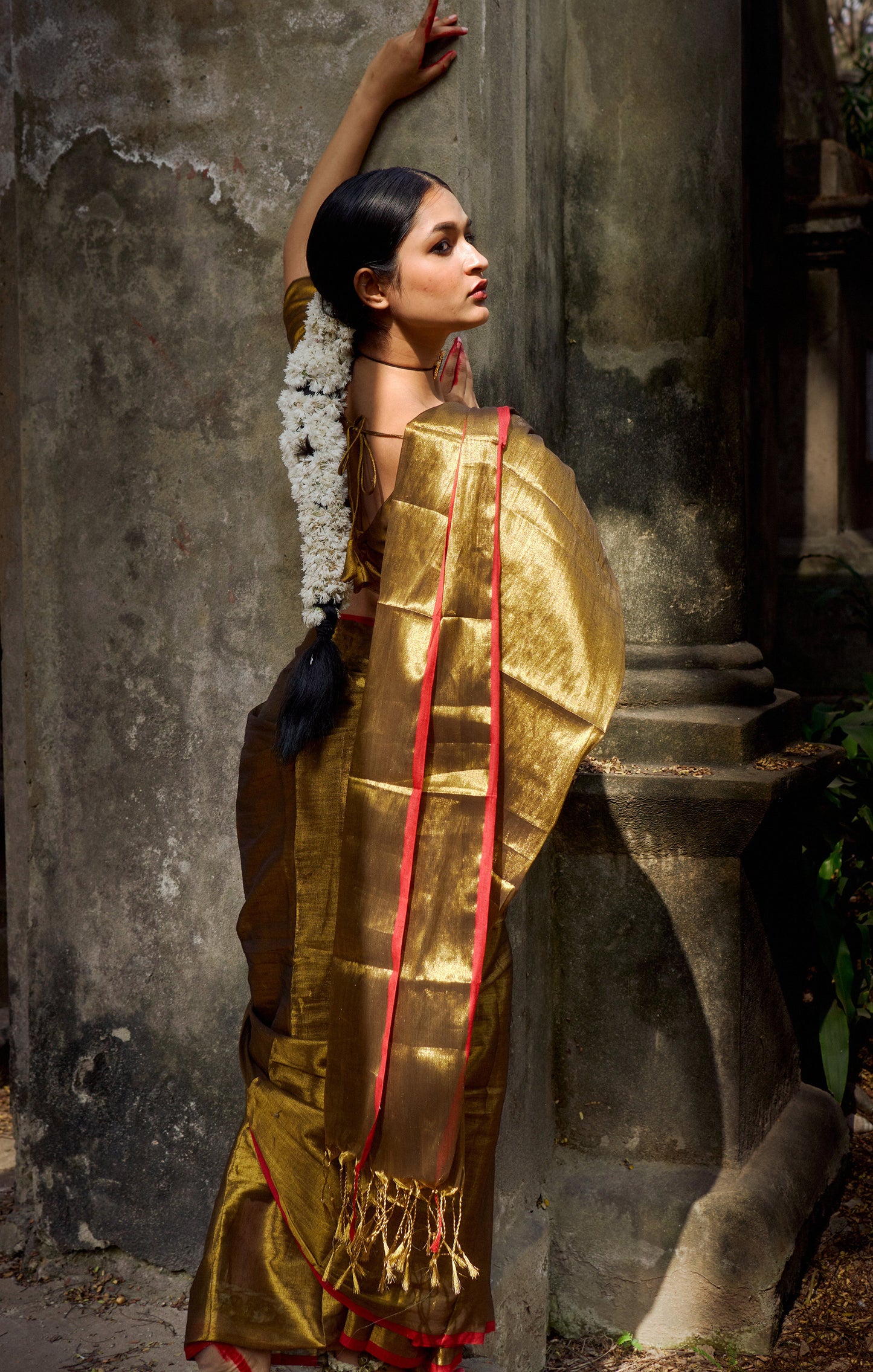 Mayura Gold tissue saree