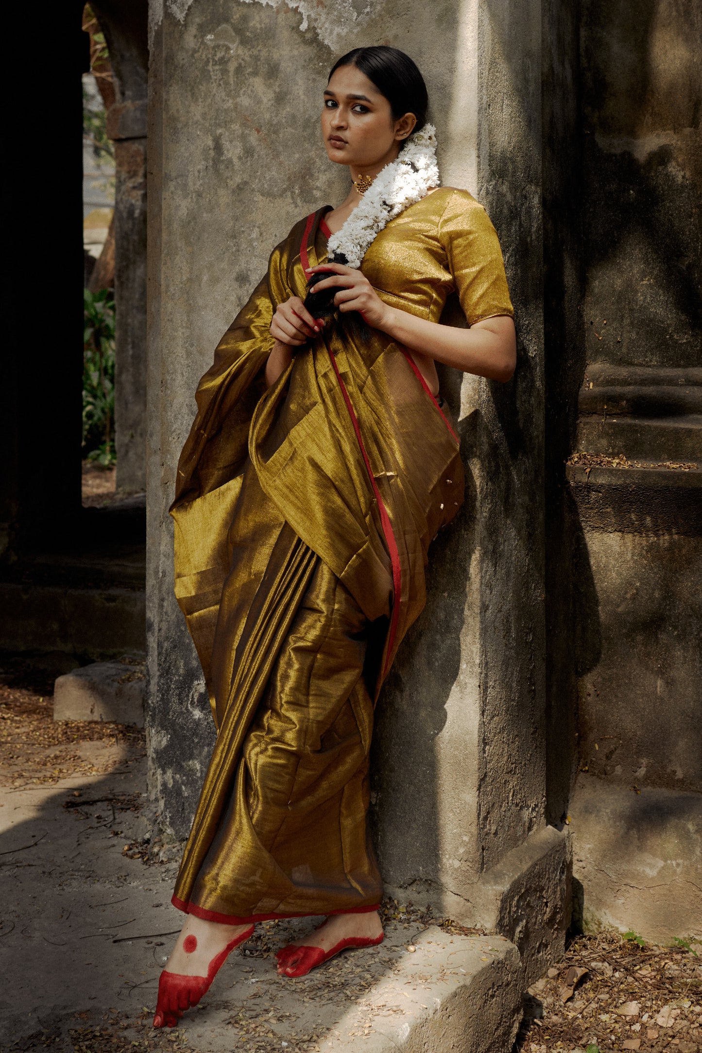 Mayura Gold tissue saree