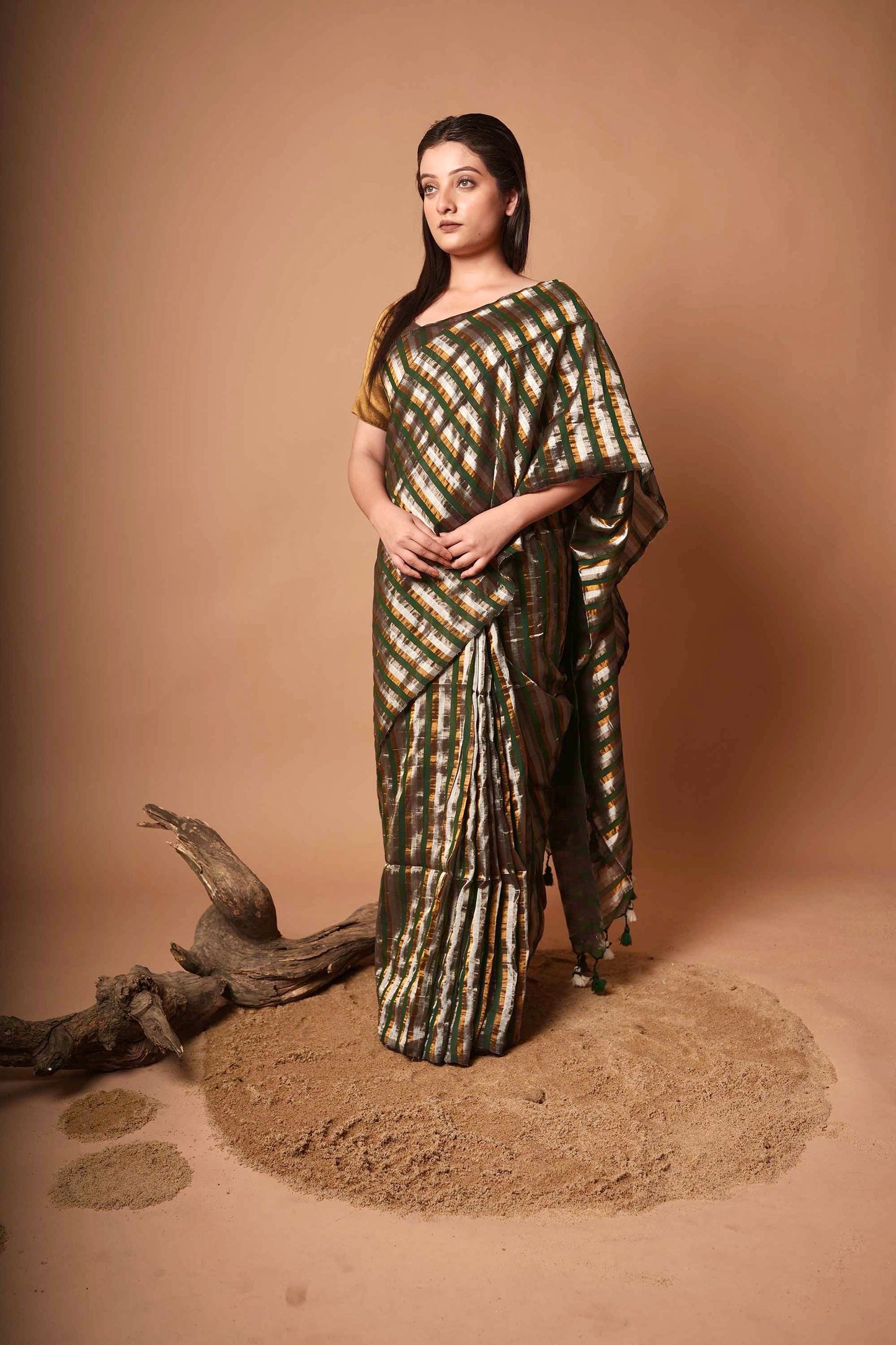 Rekha | Multicolour Handloom Cotton Saree