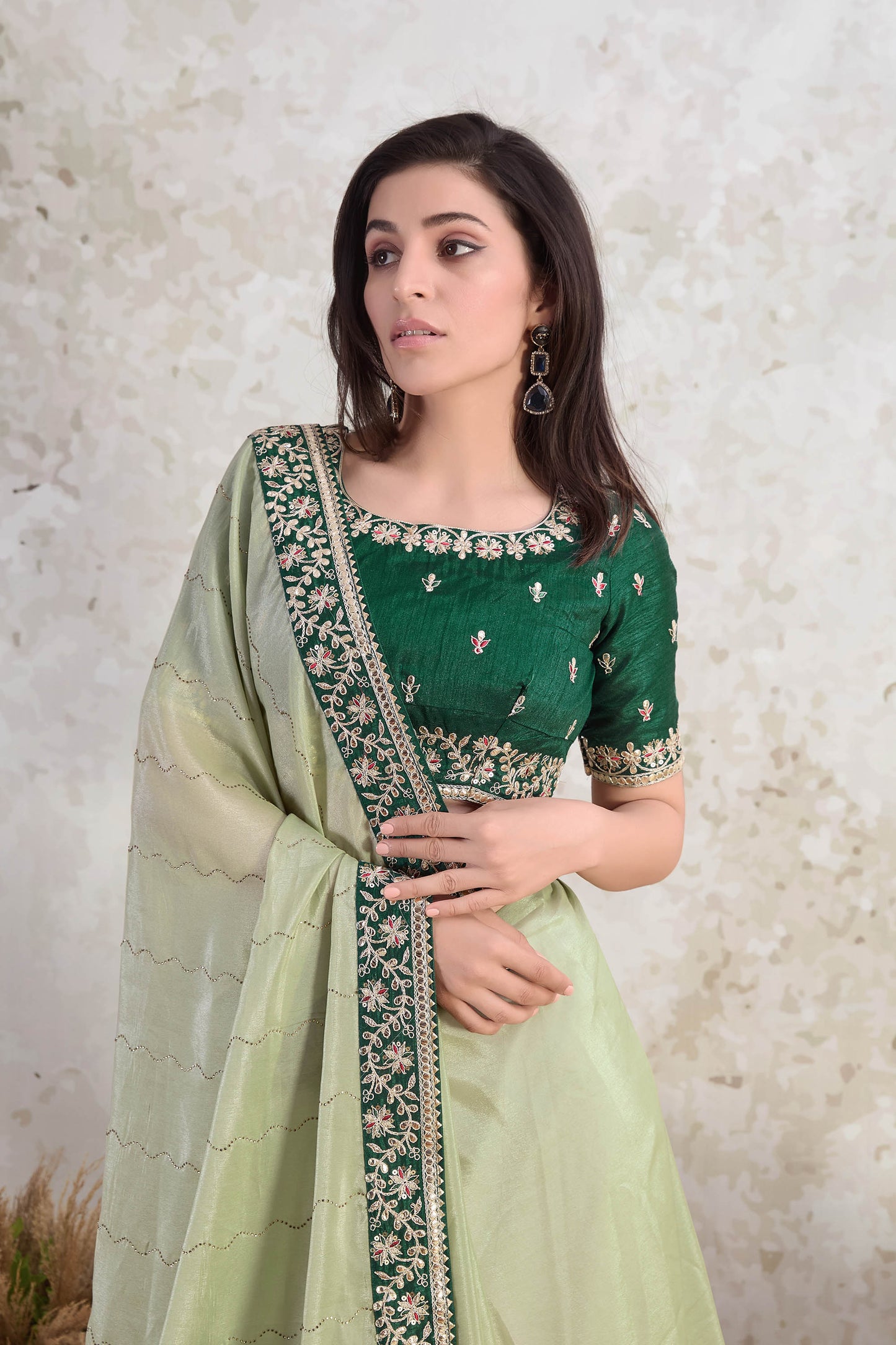 Pista green Ishkiya Georgette Tissue Silk Saree