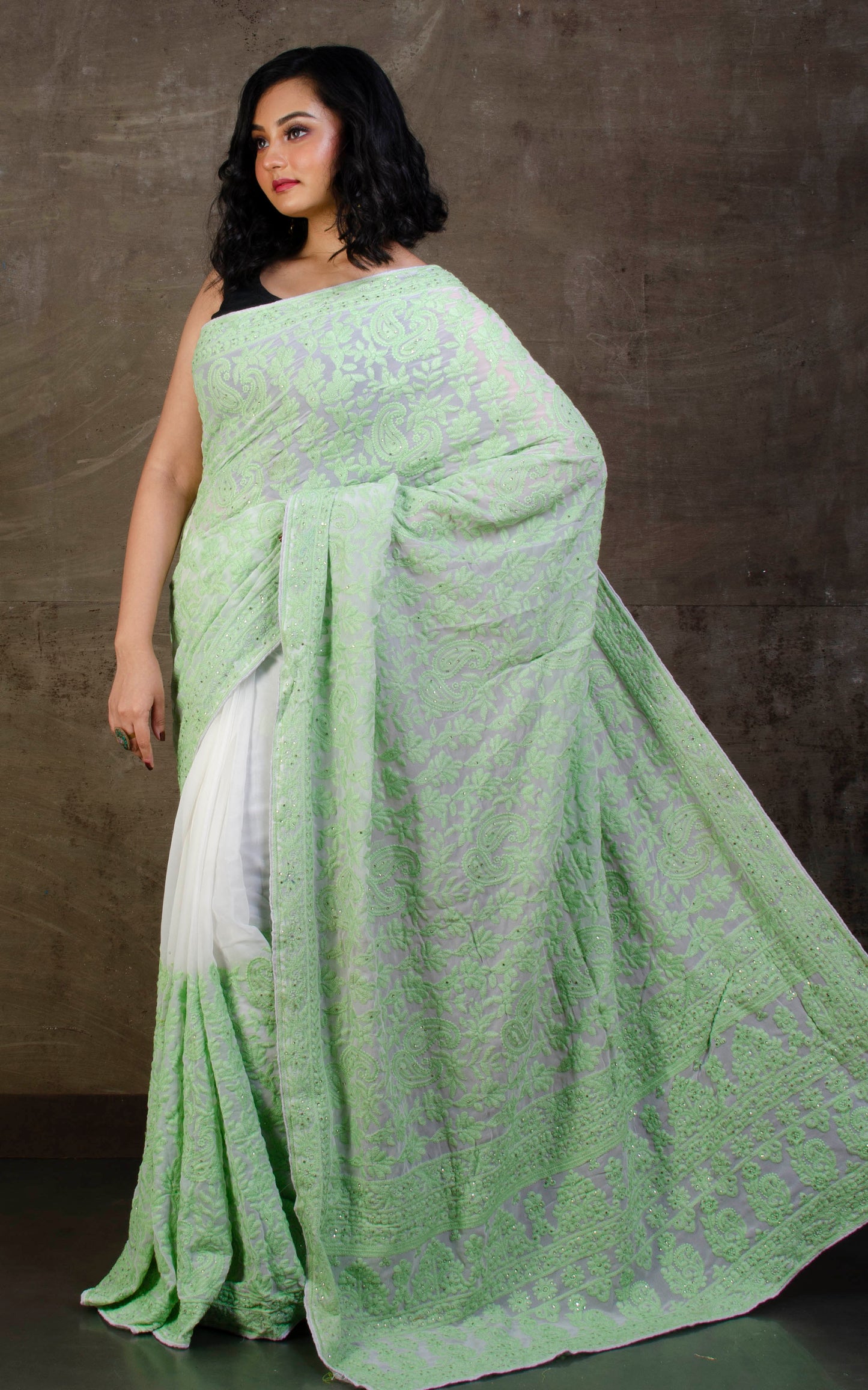 Kashmiri Embroidery Work Designer Saree in White and Mint Green Work