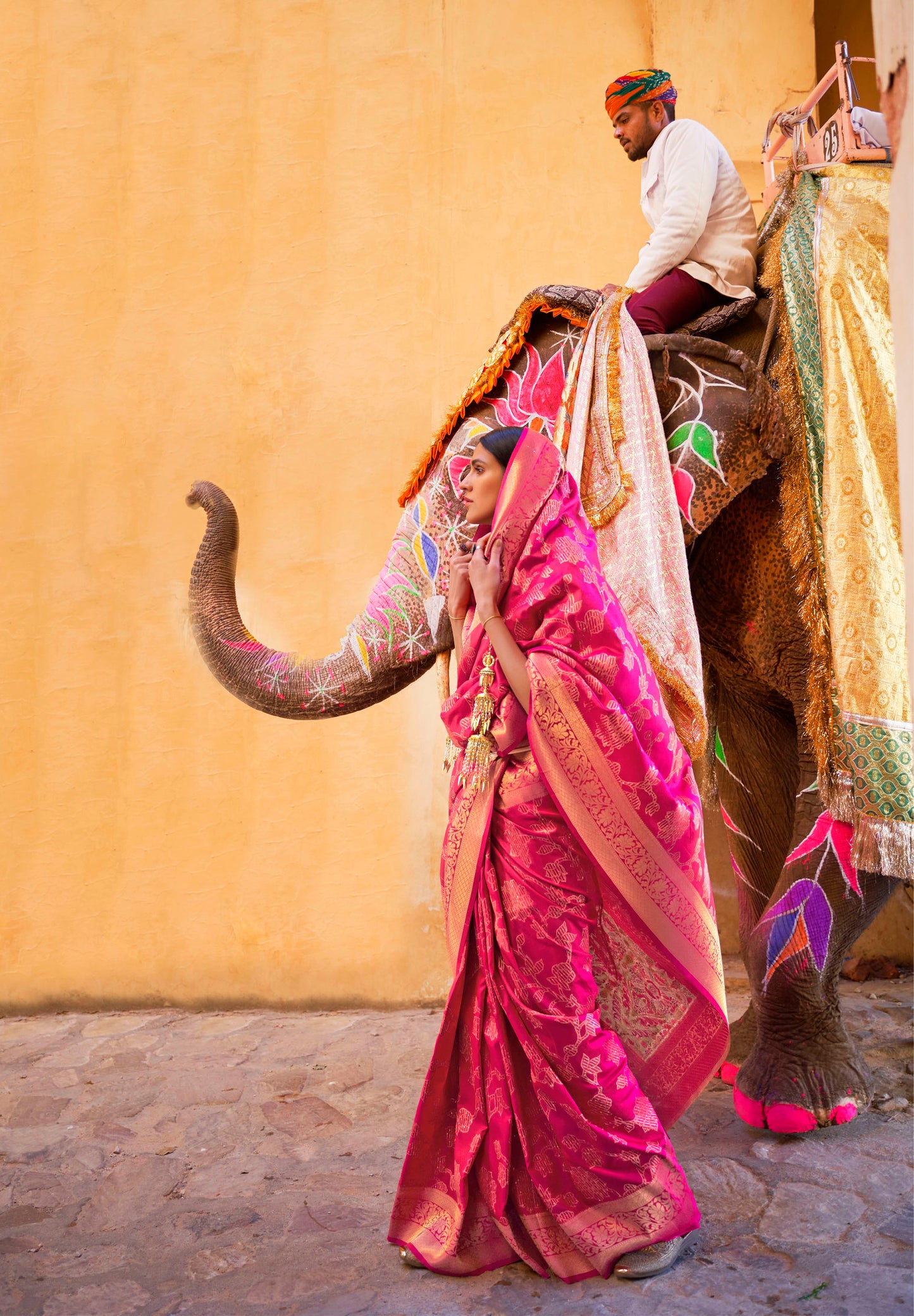 Pink Embellished Banarasi Silk Saree